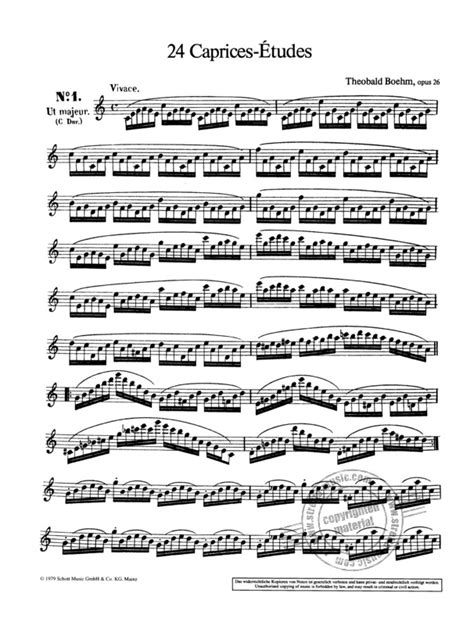 24 Caprice Etudes In The Form Of Etudes, In All 24 Keys